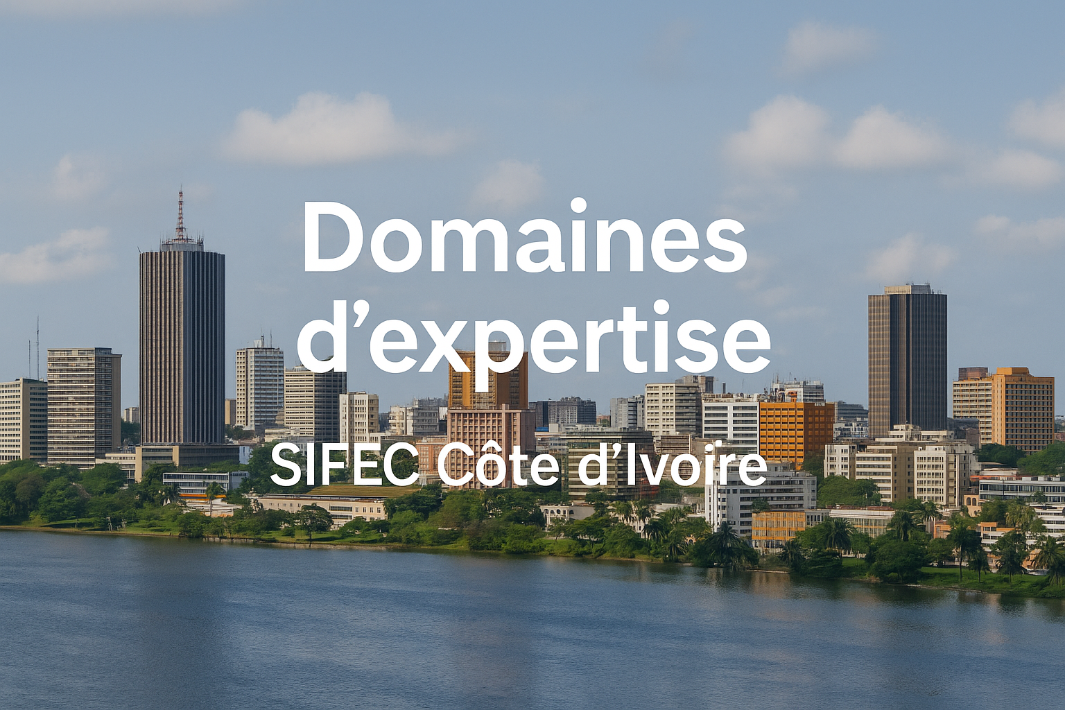 SIFEC CI — Domaines d’expertise